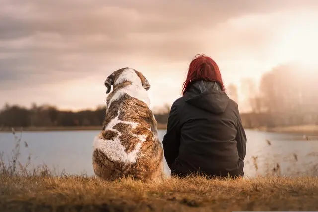 I migliori tastiere meccaniche per gamer