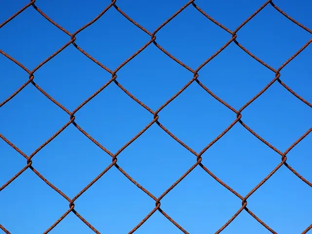 Mesh WLAN Anbieter Vergleich – Kaufen Sie das Beste
