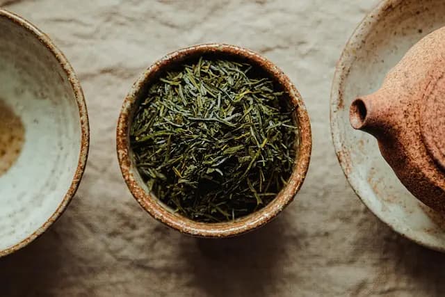 Guide d'achat des meilleurs thés verts bio