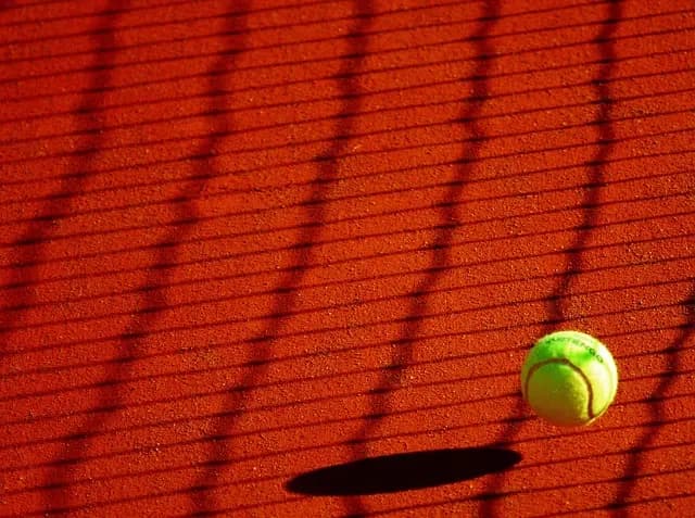 Vêtements de sport : Tendances et Choix par Profil